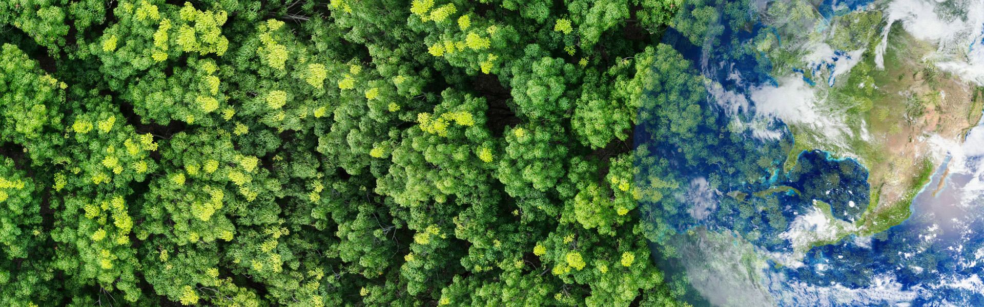 再生PS客户案例